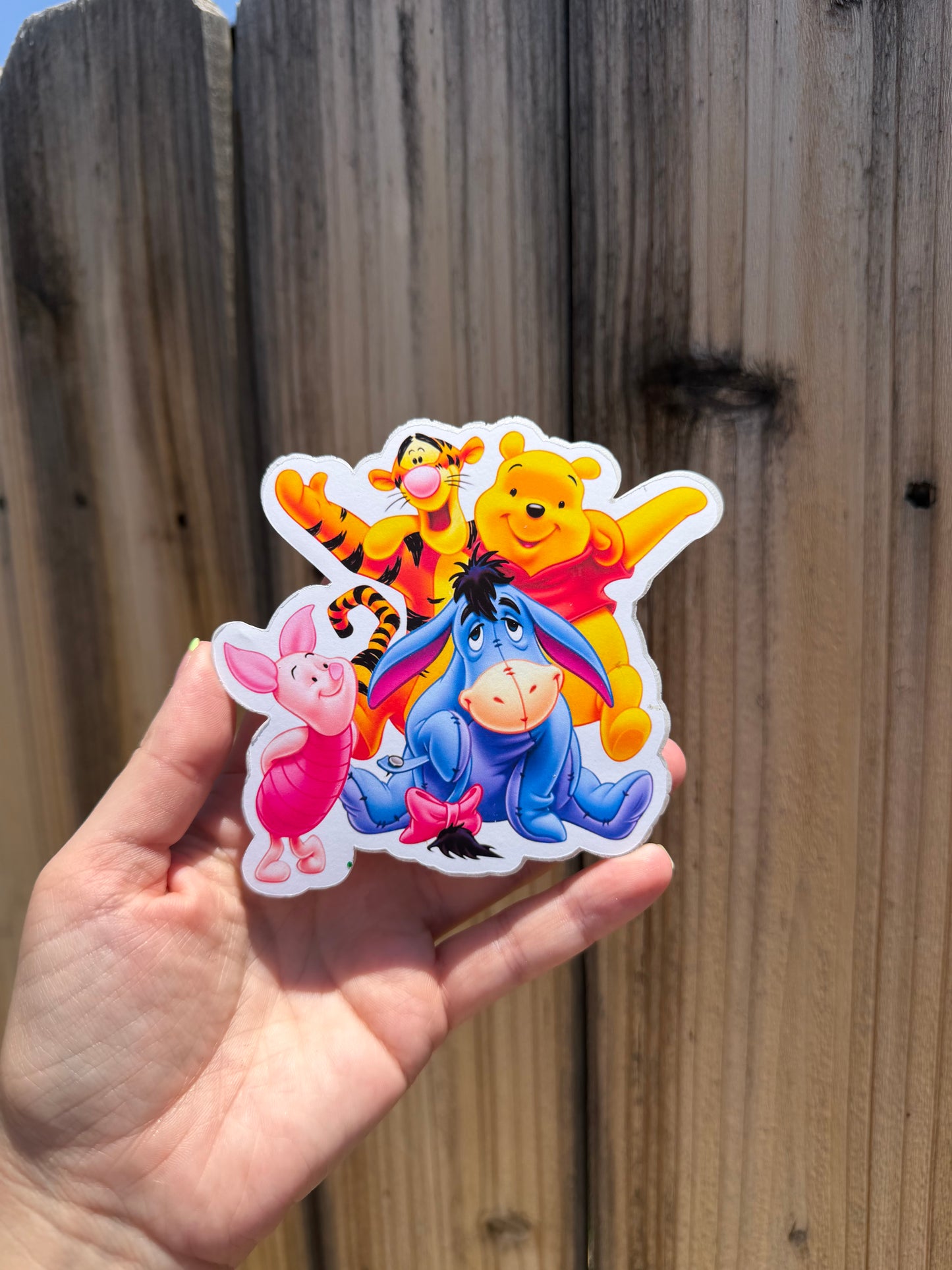 Pooh & Friends — Tiki Hut