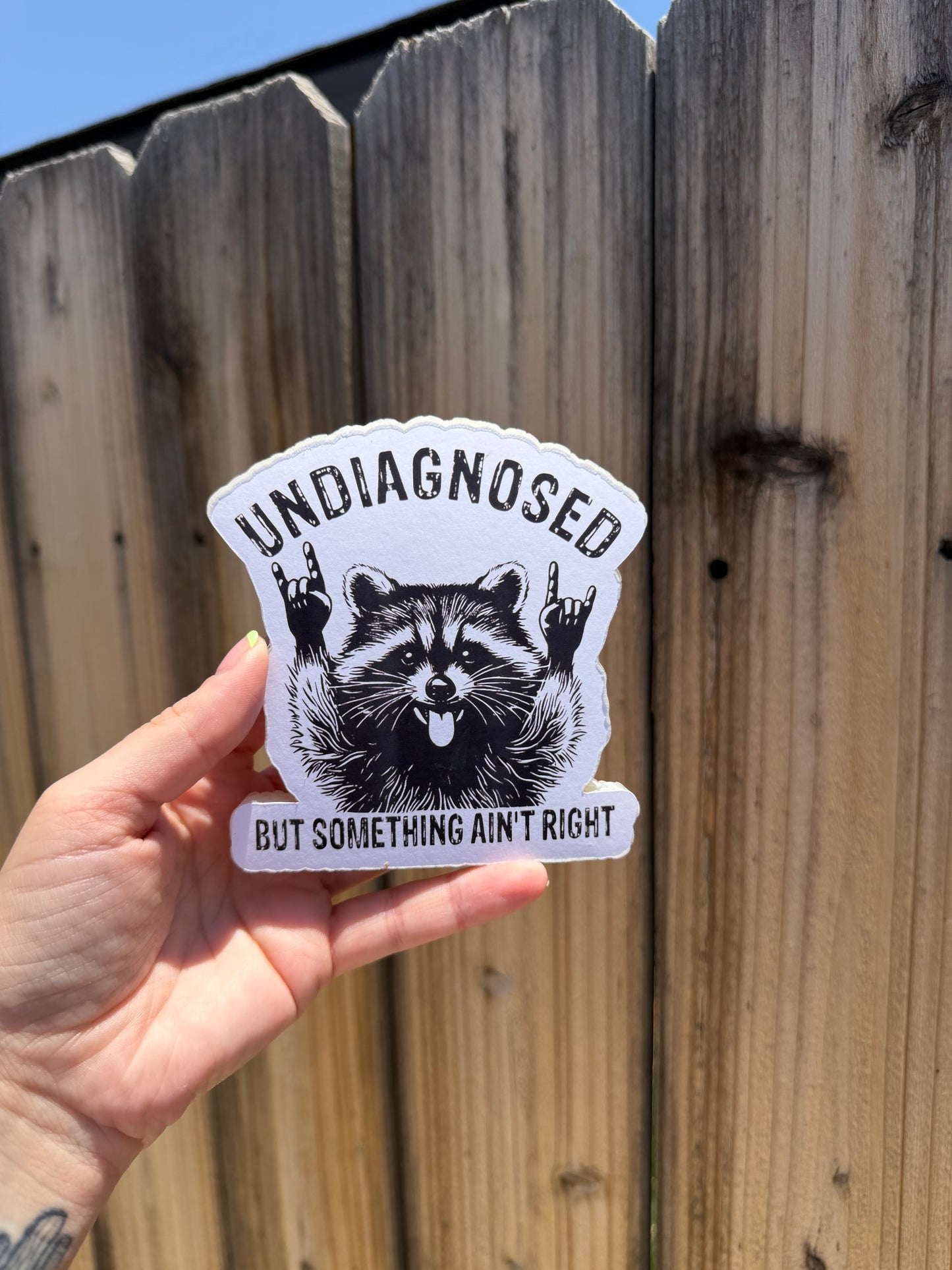 Undiagnosed — Ride or Die